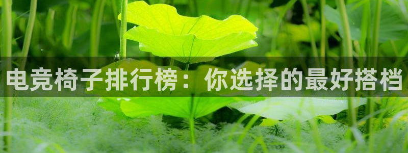 蜂鸟电竞怎么押注