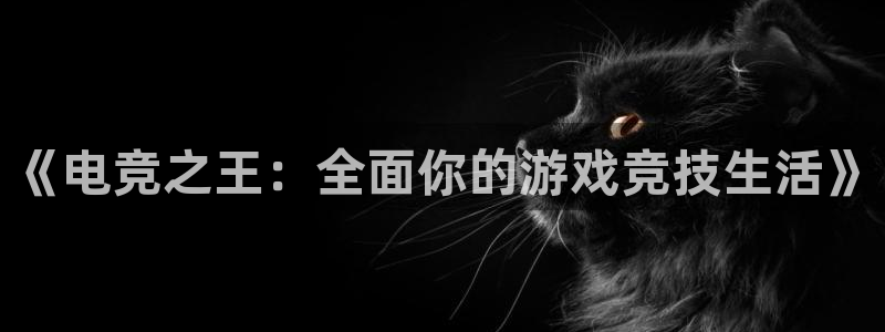 蜂鸟电竞酒店：《电竞之王：全面你的游戏竞技生活》