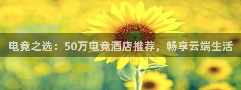 蜂鸟电竞怎么看比赛