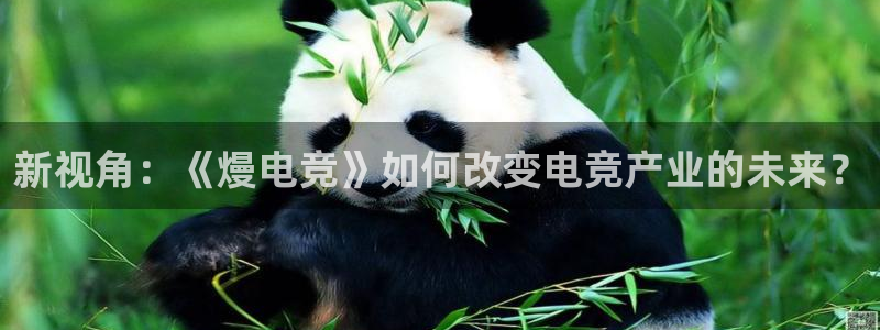 蜂鸟电竞怎么下载