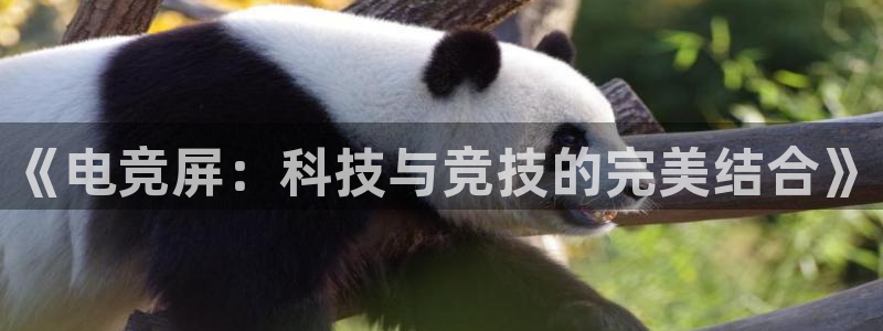 蜂鸟电竞多少钱一小时