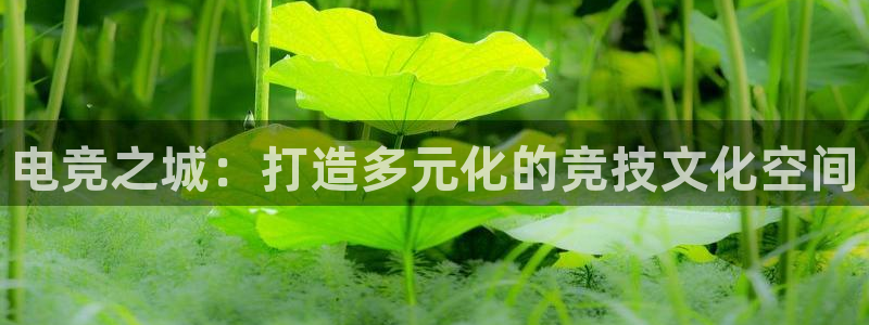 蜂鸟电竞怎么发布方案：电竞之城：打造多元化的竞技文化空间