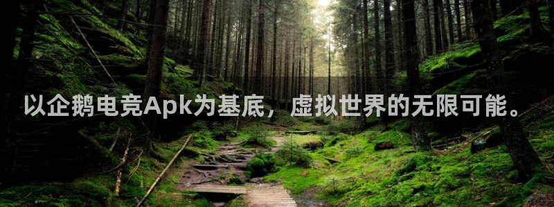 蜂鸟电竞怎么看比赛：以企鹅电竞Apk为基底，虚拟世界的无限可能。