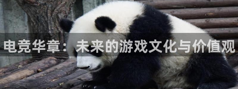 蜂鸟电竞app官方下载：电竞华章：未来的游戏文化与价值观