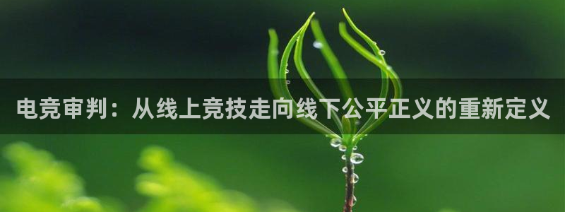 蜂鸟电竞怎么注册：电竞审判：从线上竞技走向线下公平正义的重新定义