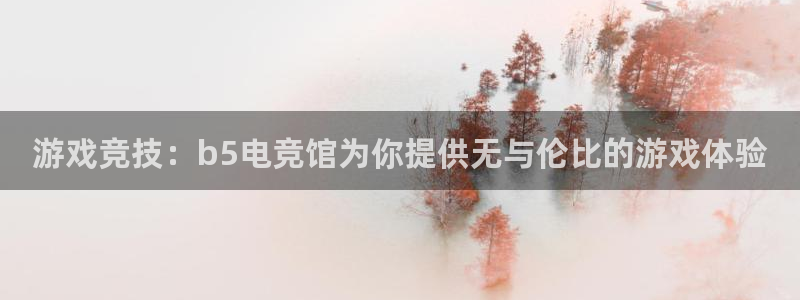 蜂鸟电竞下载：游戏竞技：b5电竞馆为你提供无与伦比的游戏体验