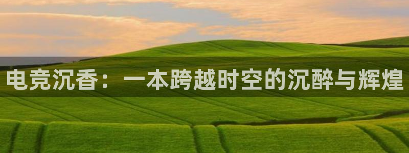 蜂鸟电竞app官方下载：电竞沉香：一本跨越时空的沉醉与辉煌