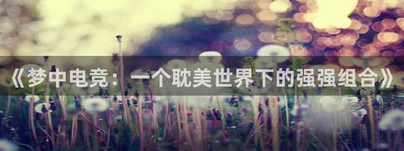 蜂鸟电竞电脑版：《梦中电竞：一个耽美世界下的强强组合》