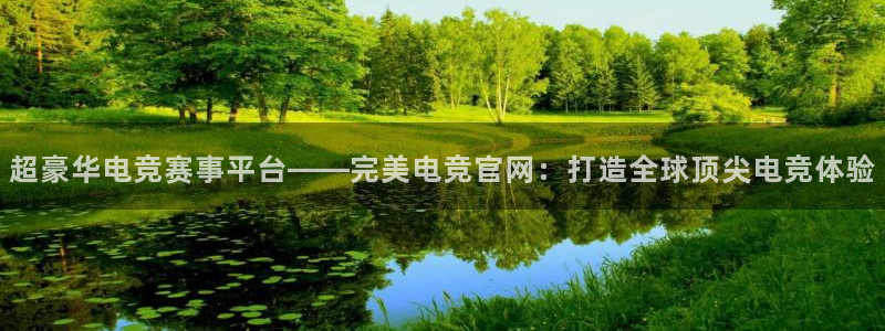 蜂鸟电竞怎么看比赛：超豪华电竞赛事平台——完美电竞官网：打造全球顶尖电竞体验