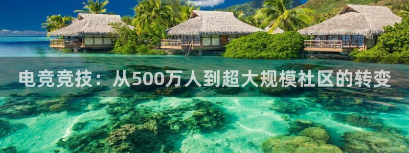 蜂鸟电竞怎么看比赛：电竞竞技：从500万人到超大规模社区的转变