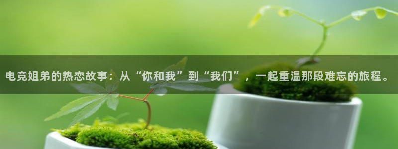 蜂鸟电竞怎么押注：电竞姐弟的热恋故事：从“你和我”到“我们”，一起重温那段难忘的旅程。
