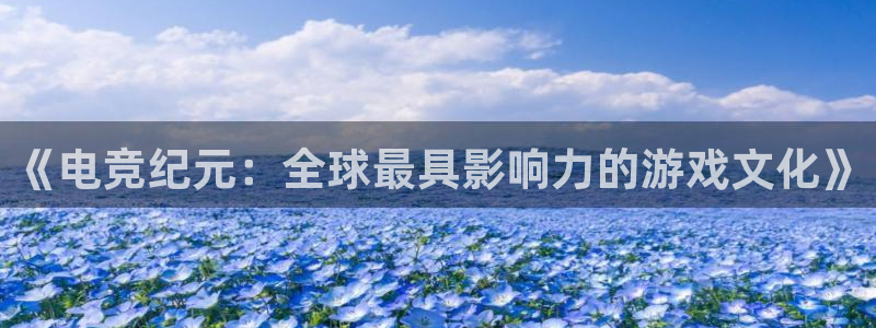 蜂鸟电竞全国多少门店啊：《电竞纪元：全球最具影响力的游戏文化》