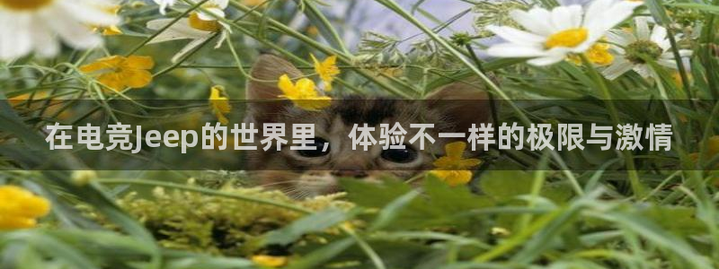 蜂鸟电竞下载：在电竞Jeep的世界里，体验不一样的极限与激情