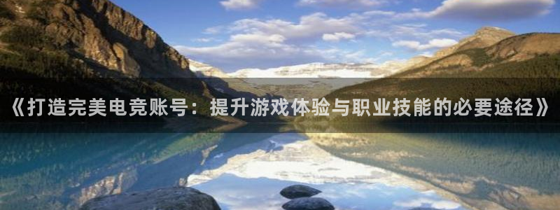 蜂鸟电竞多少钱一小时：《打造完美电竞账号：提升游戏体验与职业技能的必要途径》