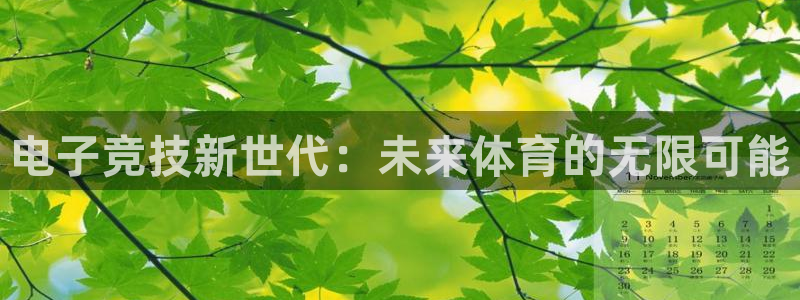 蜂鸟电竞电脑版：电子竞技新世代：未来体育的无限可能