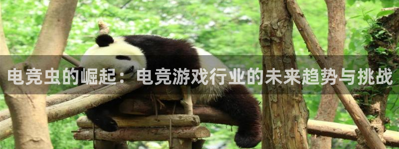 蜂鸟电竞直播入口：电竞虫的崛起：电竞游戏行业的未来趋势与挑战