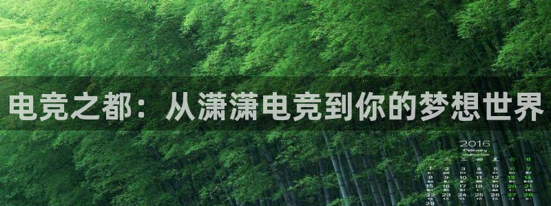 蜂鸟电竞电脑版：电竞之都：从潇潇电竞到你的梦想世界