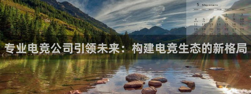 蜂鸟电竞网页版：专业电竞公司引领未来：构建电竞生态的新格局