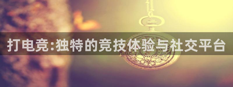 蜂鸟电竞下载：打电竞:独特的竞技体验与社交平台